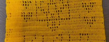 У в’язаному прапорі, який увійшов у Книгу рекордів України є частинка Кілії (фото, відео)